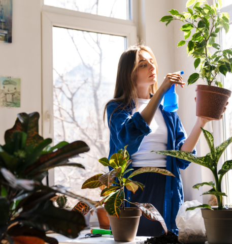 Comment Récupérer & Sauver une Plante Morte ou Desséchée ?