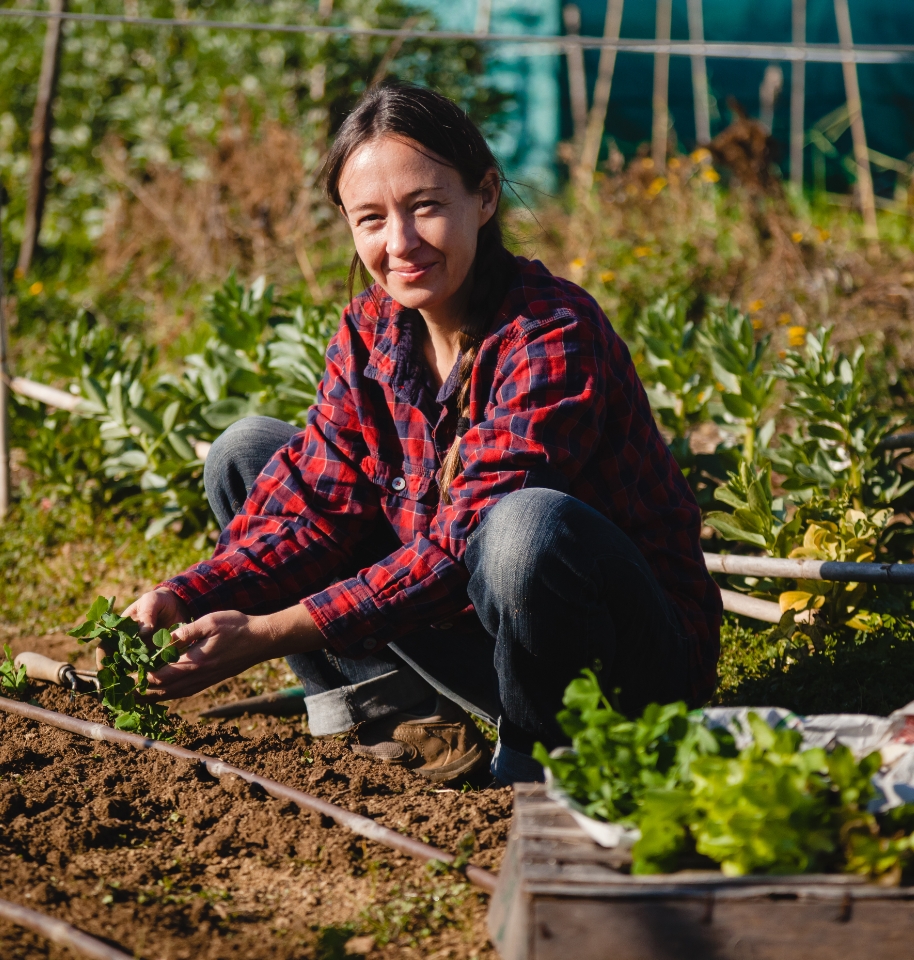 Le paillage en permaculture : utilisation et avantages